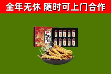 绩溪回收冬虫夏草价格